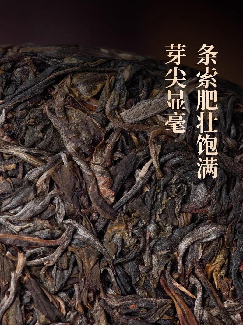 普洱茶生茶  [彩程] 2019年 手寫書法珍藏版 大忠山古樹茶 357g 生餅