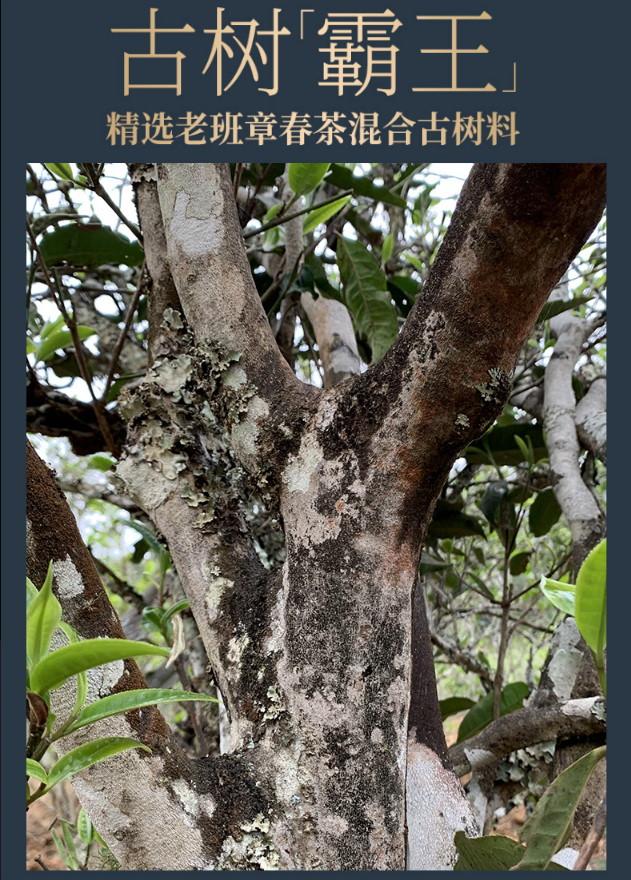 普洱茶生茶 [彩程]  2022年 老班章1號 古樹頭春茶 100克 生餅