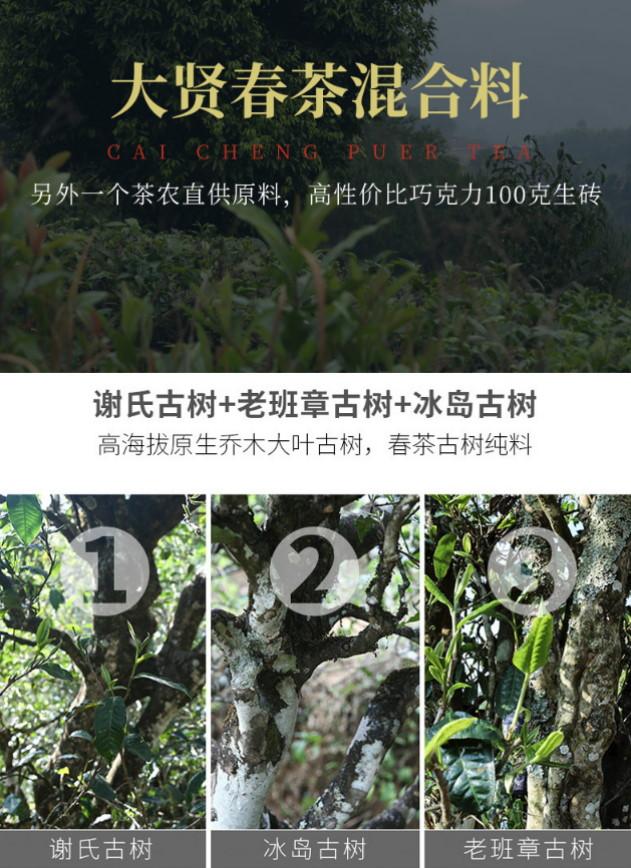 普洱茶生茶 [彩程] 2021 彩程 大賢古樹春茶 100g 巧克力 生磚