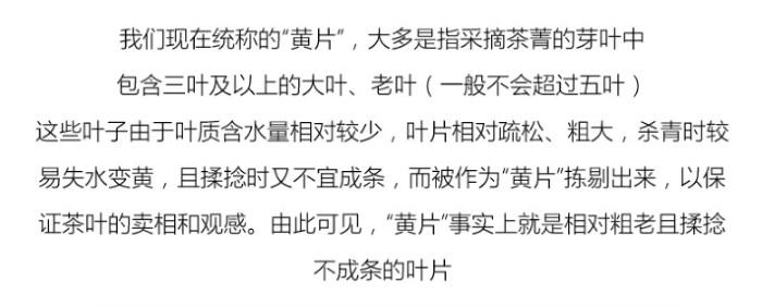 普洱茶生茶 [彩程] 2019年 冰島黃片磚 250克 柔美涼甜!