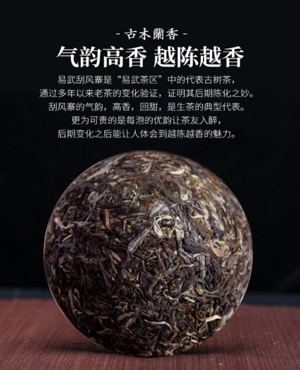 普洱茶生茶 [彩程] 2013 癸巳年 刮風寨 古樹茶 100克 生沱