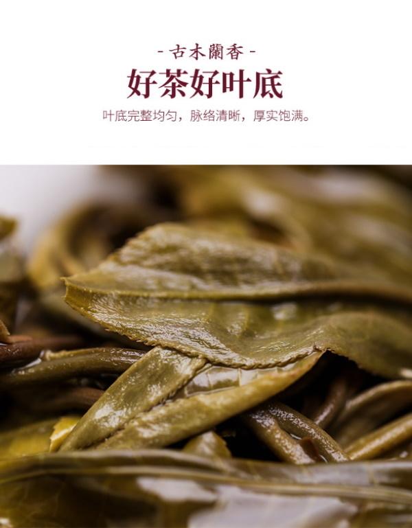 普洱茶生茶 [彩程] 2013 癸巳年 刮風寨 古樹茶 100克 生沱