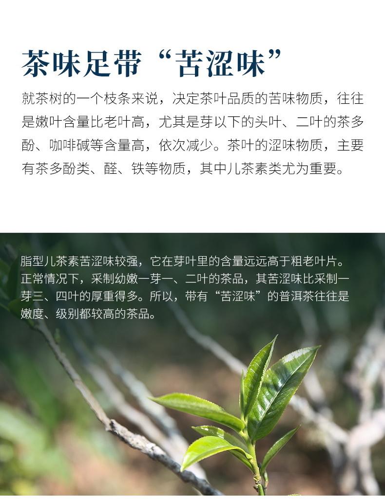 普洱茶生茶 [彩程] 2020年 明德至善 大樹生沱 500克沱茶 甜柔鲜爽  原價1280元