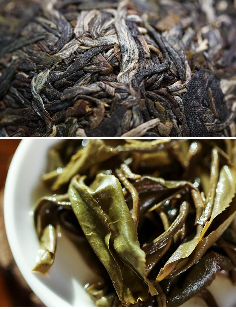 普洱茶生茶 [彩程] 2020年 明德至善 大樹生沱 500克沱茶 甜柔鲜爽  原價1280元