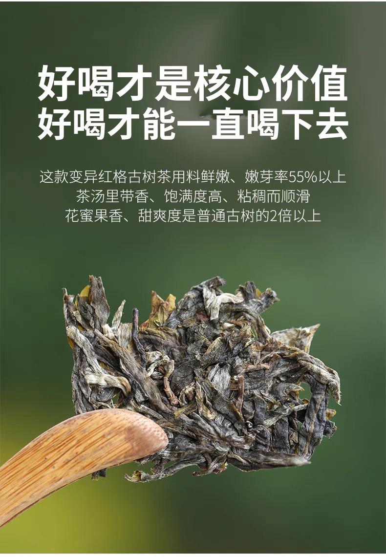 普洱茶生茶 [彩程] 2022年 紅格 變異古樹茶 200g 生磚 雙倍花蜜香
