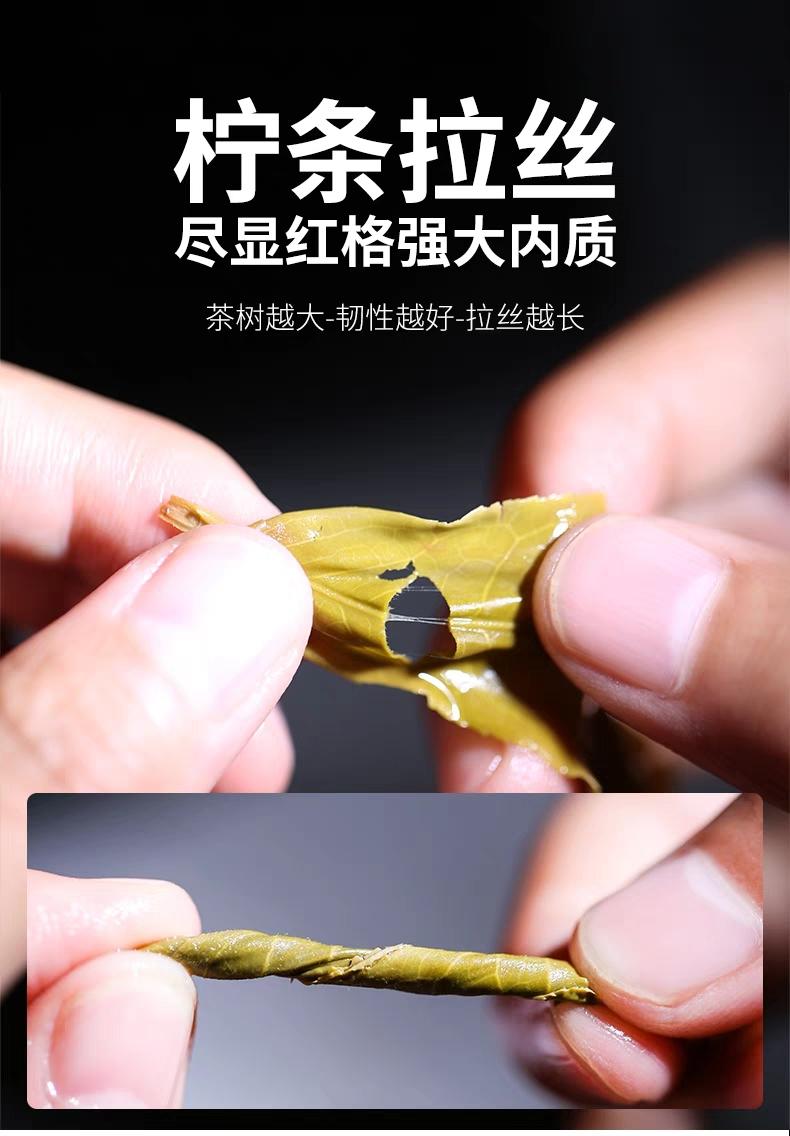 普洱茶生茶 [彩程] 2022年 紅格 變異古樹茶 200g 生磚 雙倍花蜜香