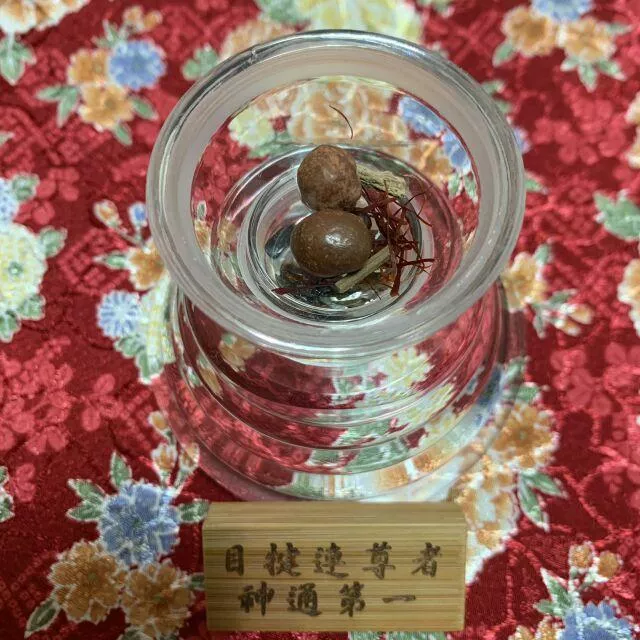 目犍連 尊者 舍利子 神通第一