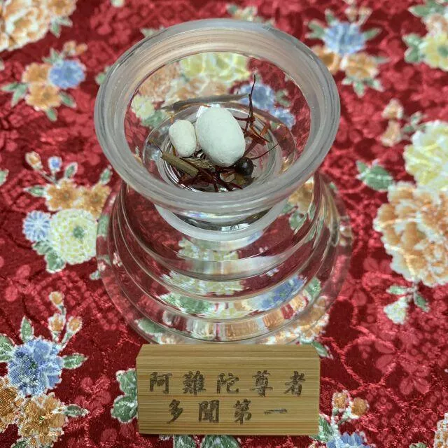 阿難陀尊者 舍利子 多聞第一 阿難尊者