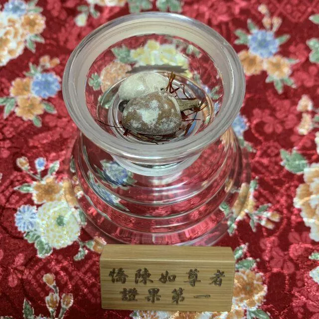 憍陳如尊者 舍利子 證果第一 佛陀初轉法輪第一位證果