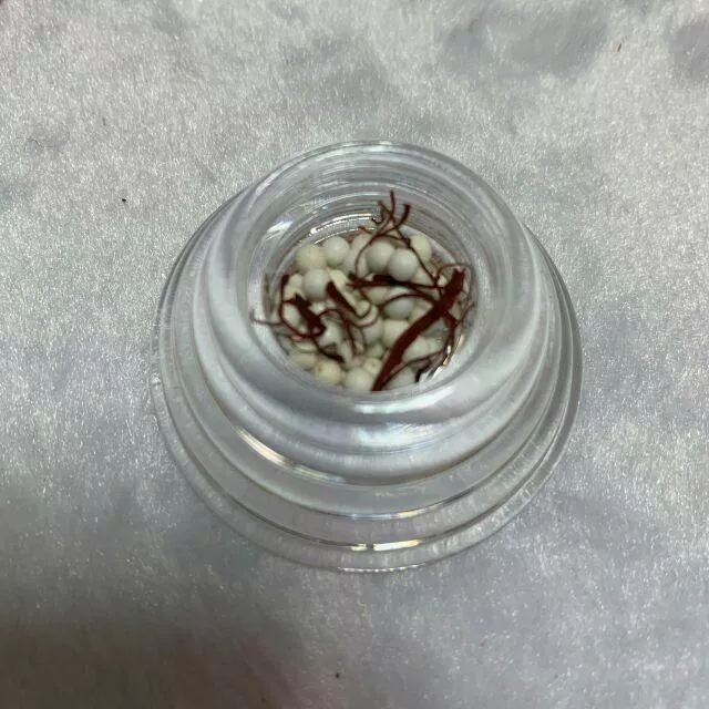 雪山舍利 2.5～3mm 1.5~1.8mm