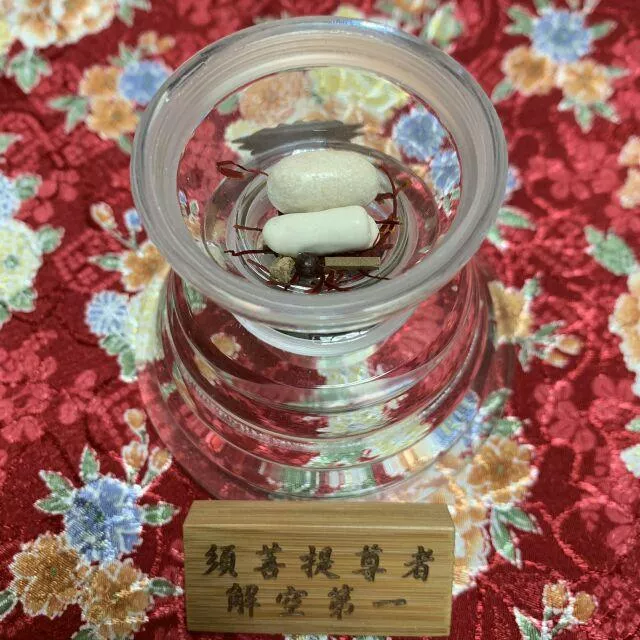 須菩提尊者 舍利子 解空第一