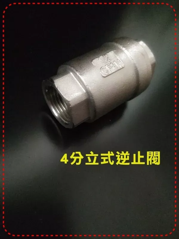 防水垂不鏽鋼內牙逆止閥
