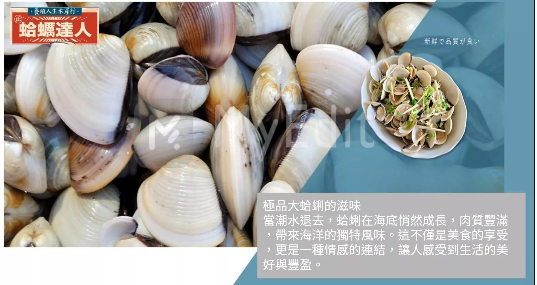 養殖人生 | 蛤蜊大小事 養殖技巧 蛤蜊養殖 蛤蜊健康管理