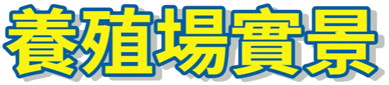 蛤蠣 | 蛤蜊| 文蛤| 批發 零售 團購