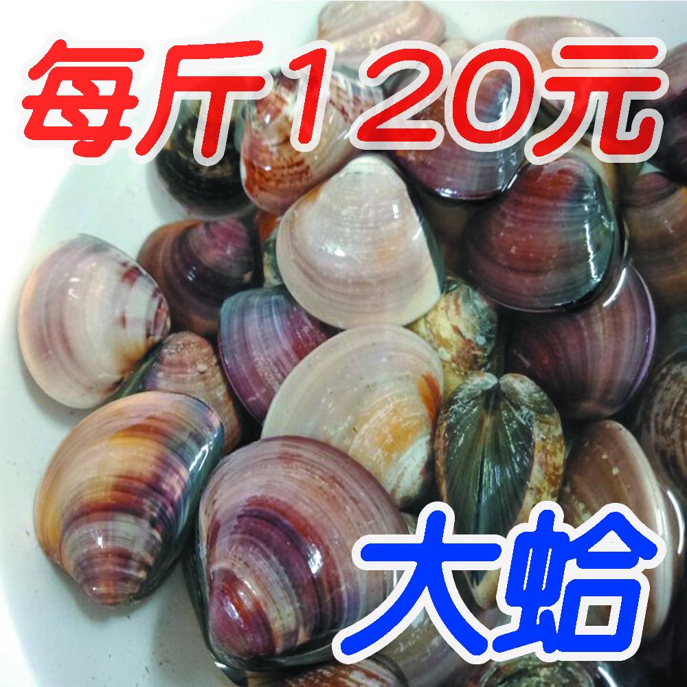 養殖人生(蛤蜊達人 )批發 | 零售|  團購 | 全台 熱烈訂購中