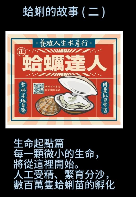 蛤蜊的故事（二）生命起點篇