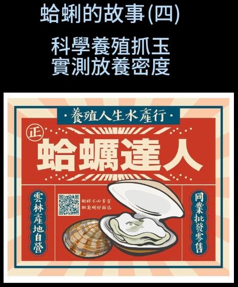 蛤蜊的故事（四 )養殖抓玉，實測放養密