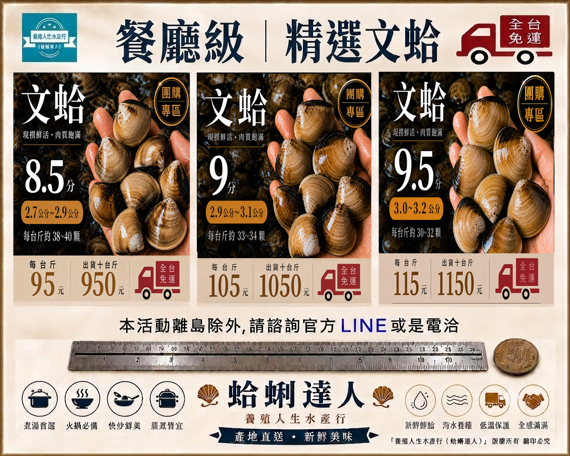 免運團購雲林文蛤｜蛤蜊 10台斤｜8.5分・9分・9.5分規格任選