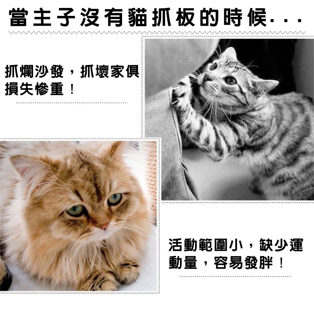 台灣製造高CP 貓抓板 長方形貓抓板 方形貓抓板 貓咪用品 雙面抓 耐抓 貓磨爪 貓窩 貓玩具 貓抓板 貓抓瓦楞紙
