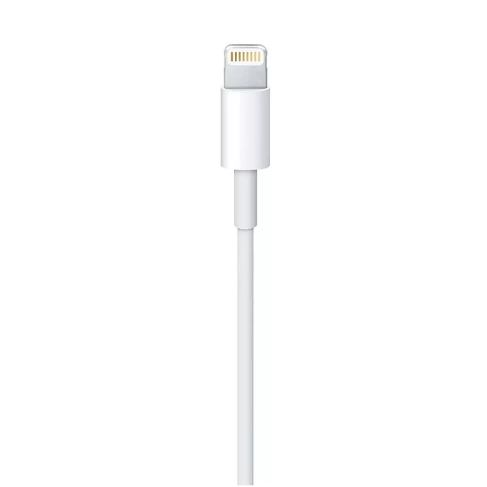 Apple Lightning 1M 台版原廠公司貨
