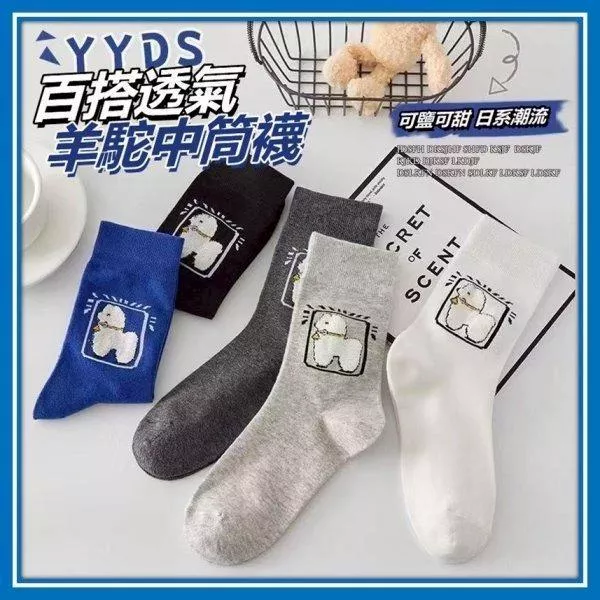 透氣羊駝中筒襪(6入)