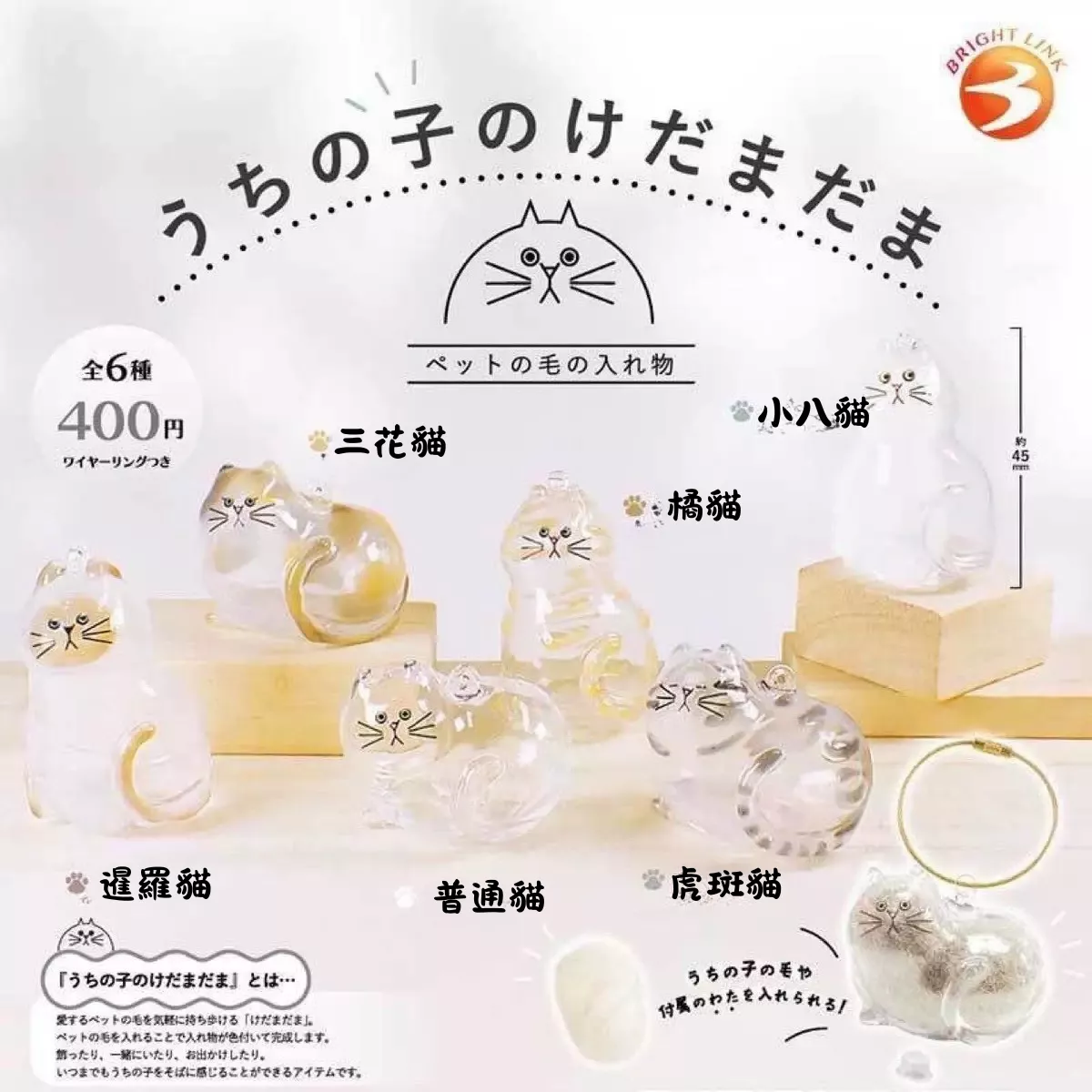 日本 透明貓毛收納掛件