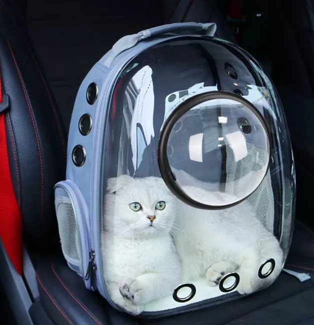寵物太空艙包