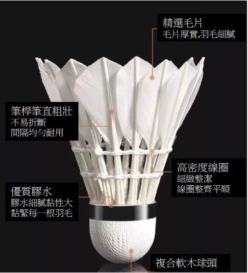 耐打王羽球12入裝比賽訓練用球