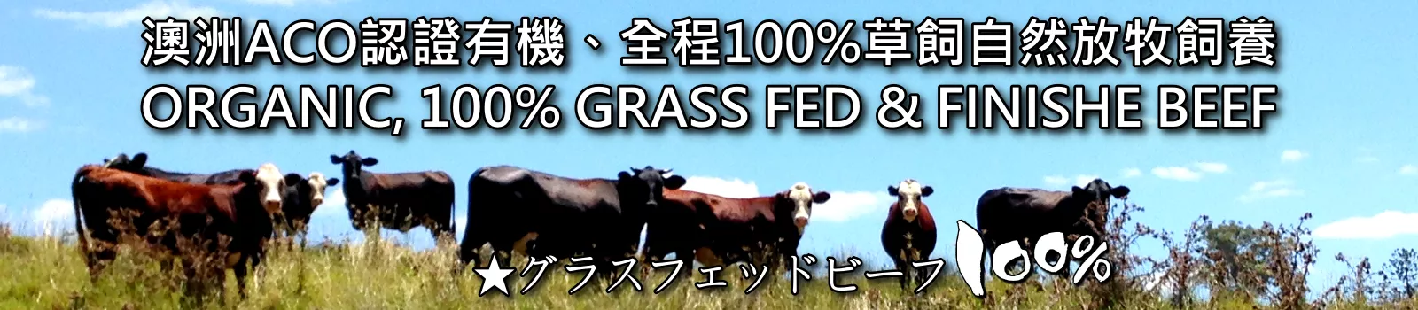 全程100%草飼,熟成與包裝,美味產品