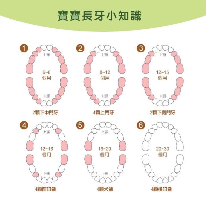 香蕉-玉米寶寶固齒器