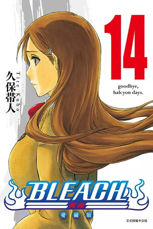 BLEACH死神 愛藏版 14