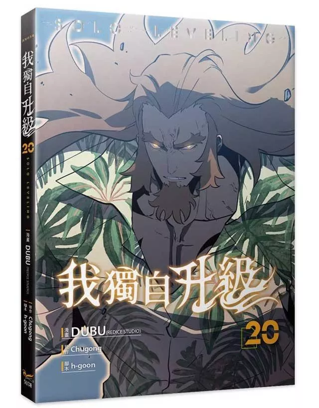 我獨自升級 20