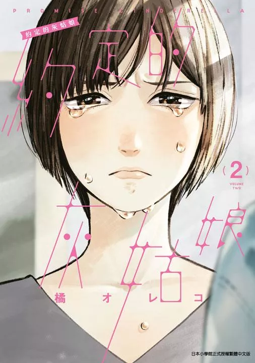 約定的灰姑娘 2