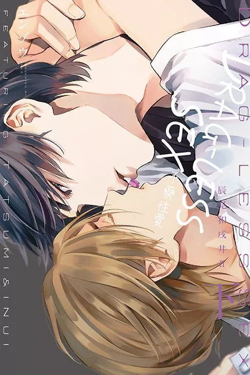 DRAG-LESS SEX 不藥性愛 辰見和戌井 Ⅱ 下