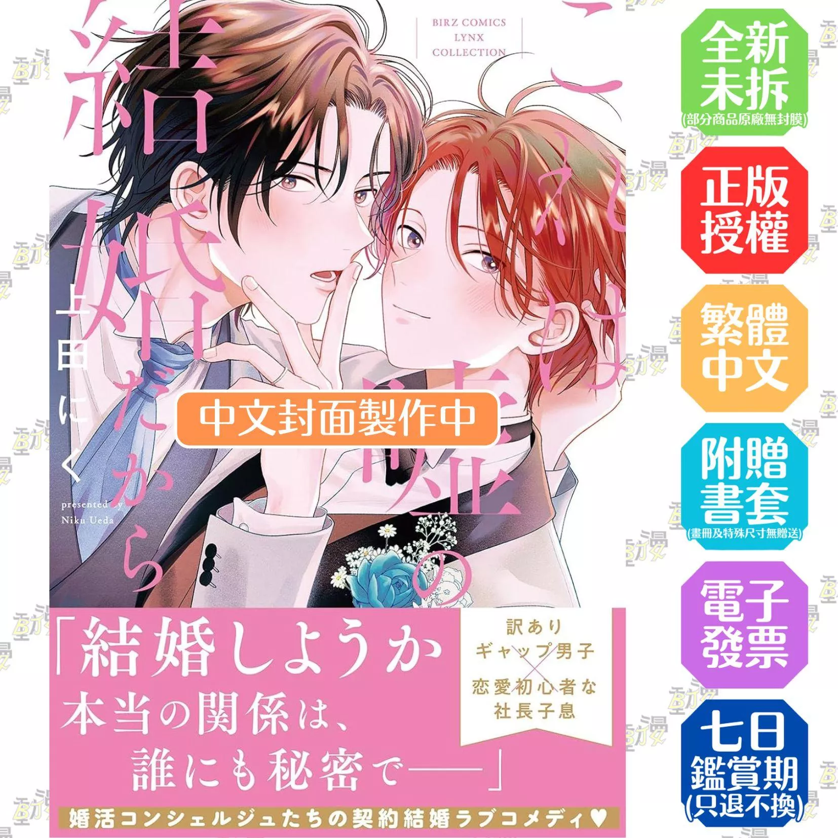 我們只是假結婚 全1