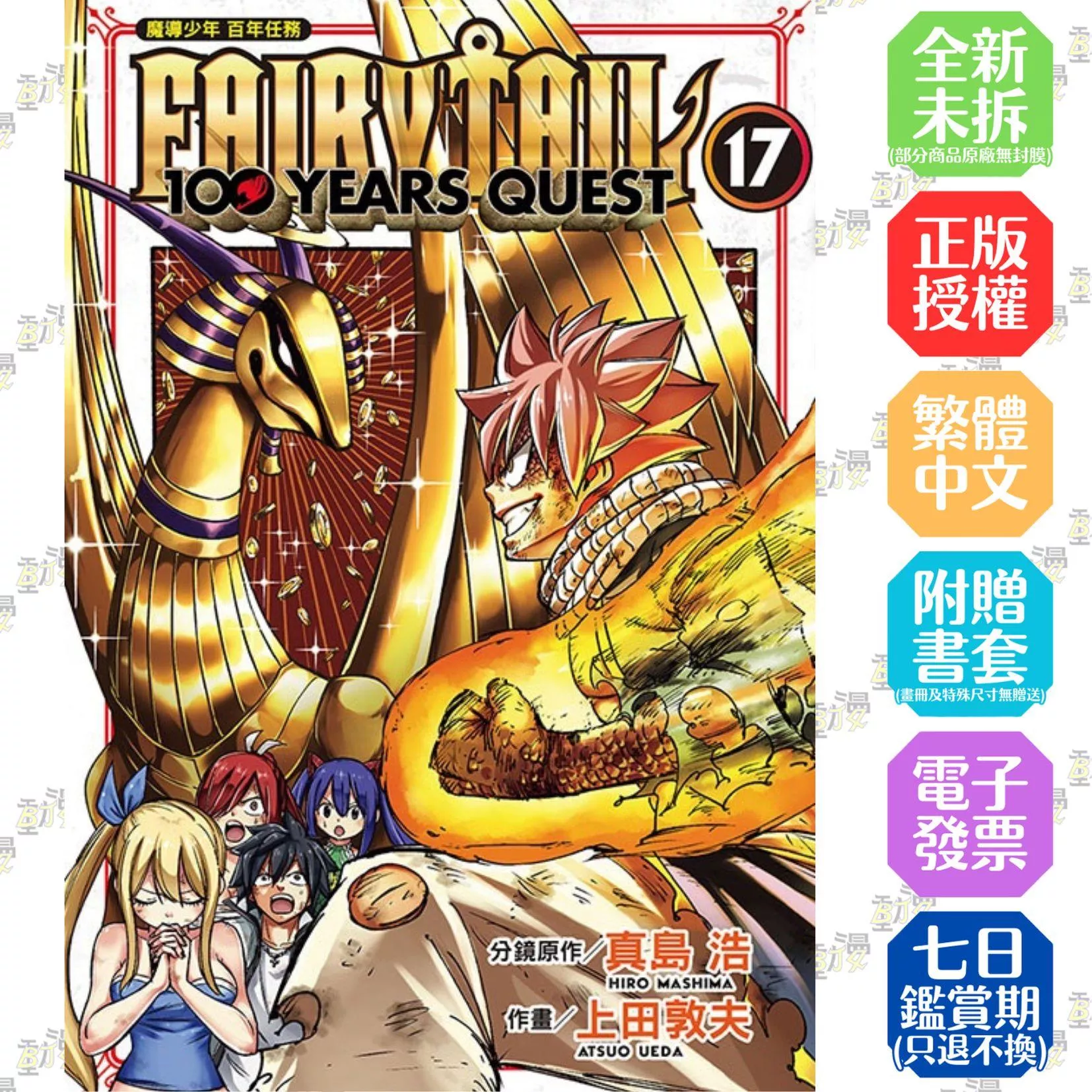FAIRY TAIL魔導少年 百年任務 17