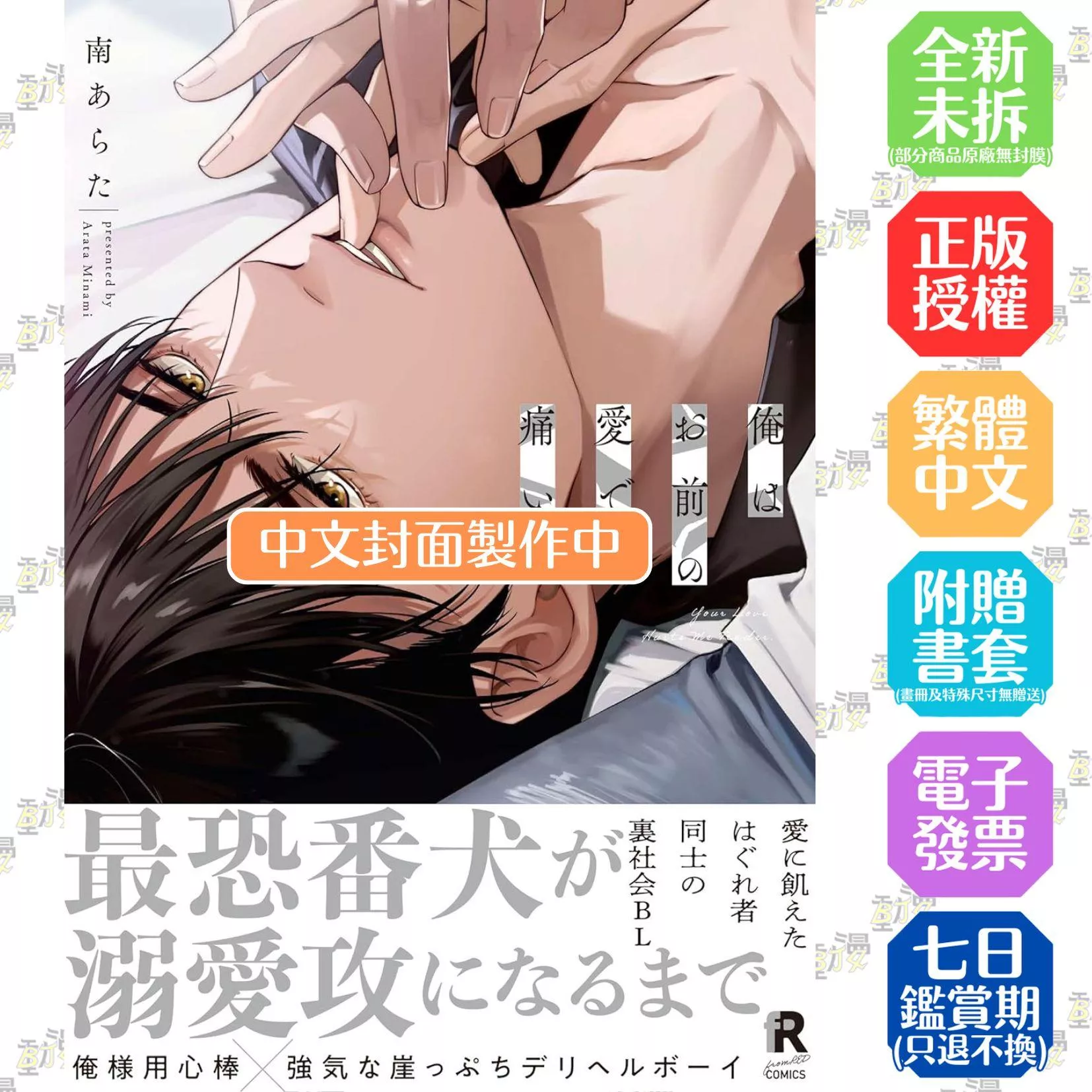 我因你的愛而疼痛(全) 特典版