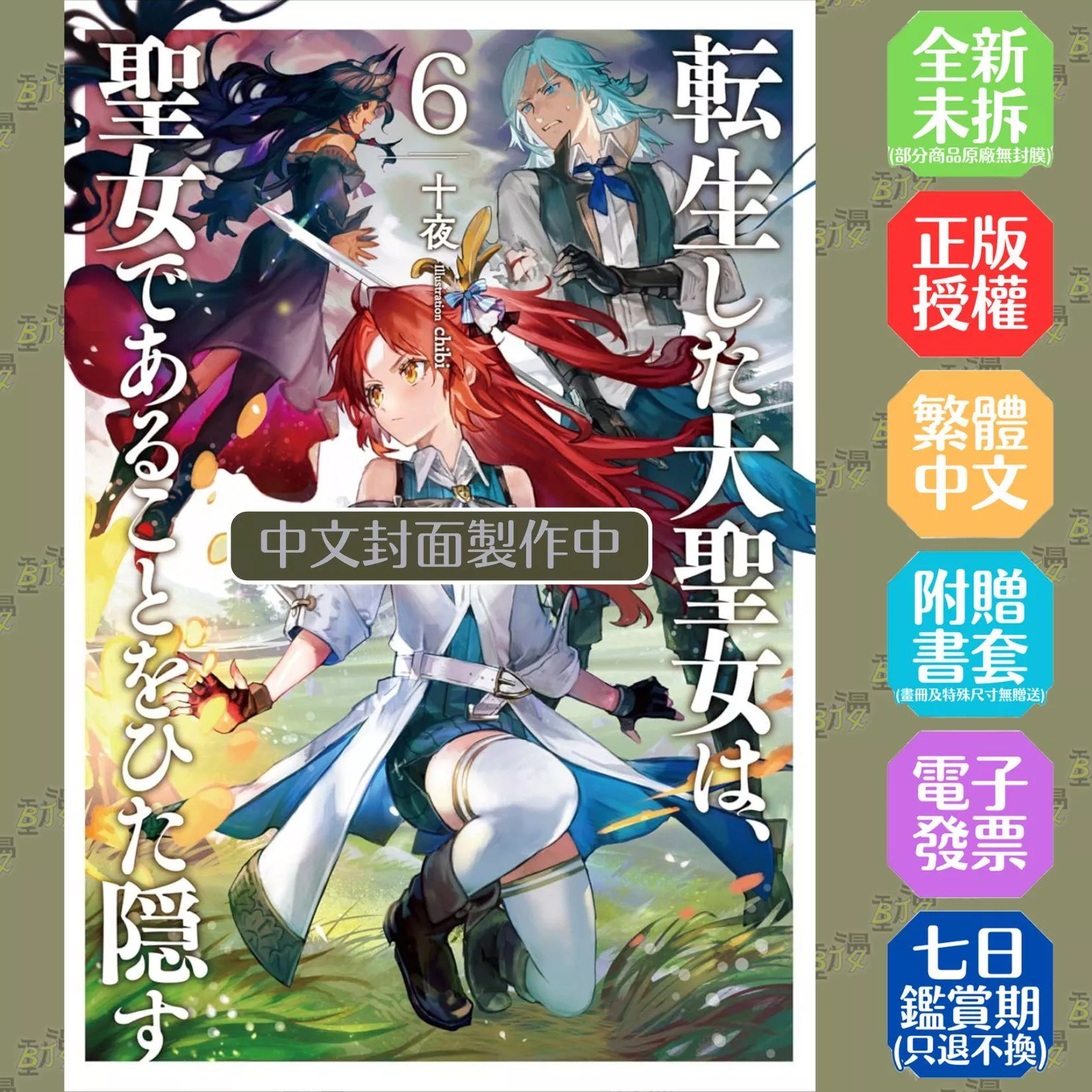 轉生後的大聖女，極力隱瞞聖女的身分(06)首刷限定版