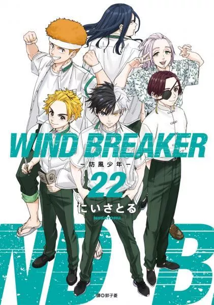 WIND BREAKER—防風少年—(22)