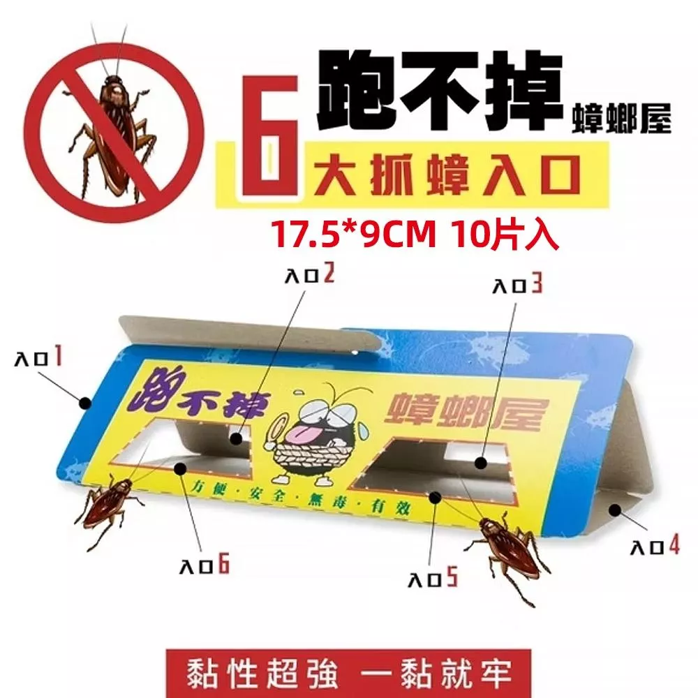 跑不掉蟑螂屋10片裝