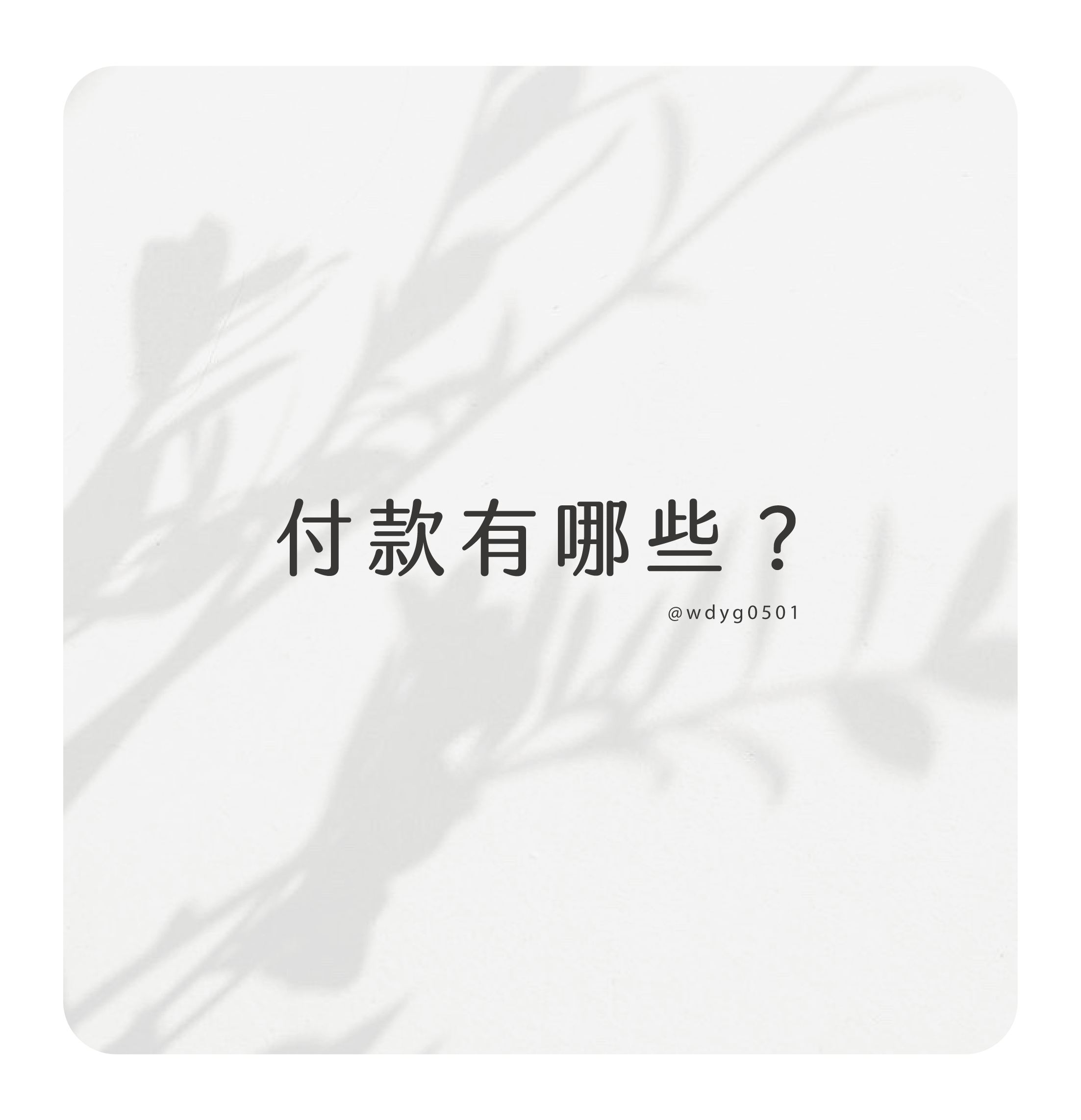 ⚠ 付款有哪些？