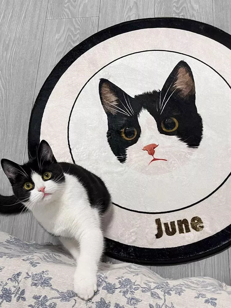 客製化 | 圓形寵物地毯