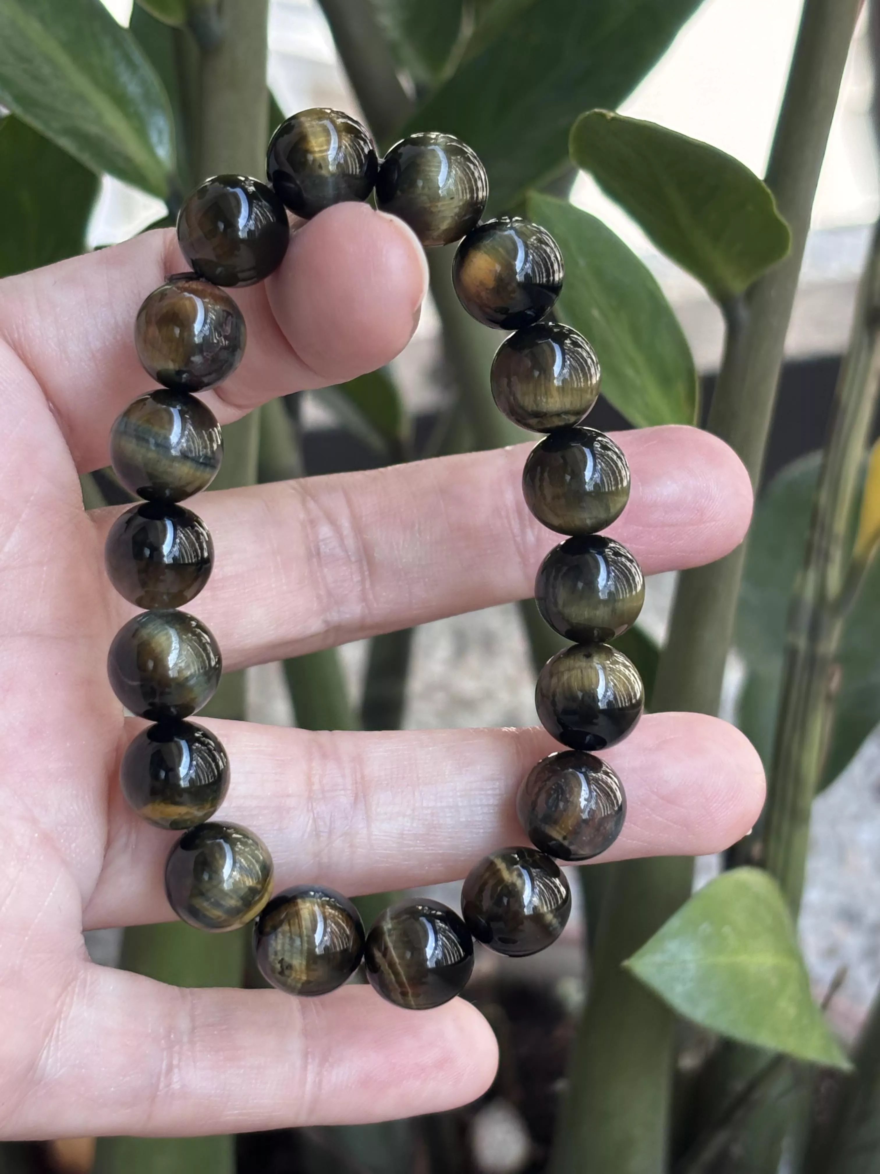 夢幻虎眼.極光守護之眼