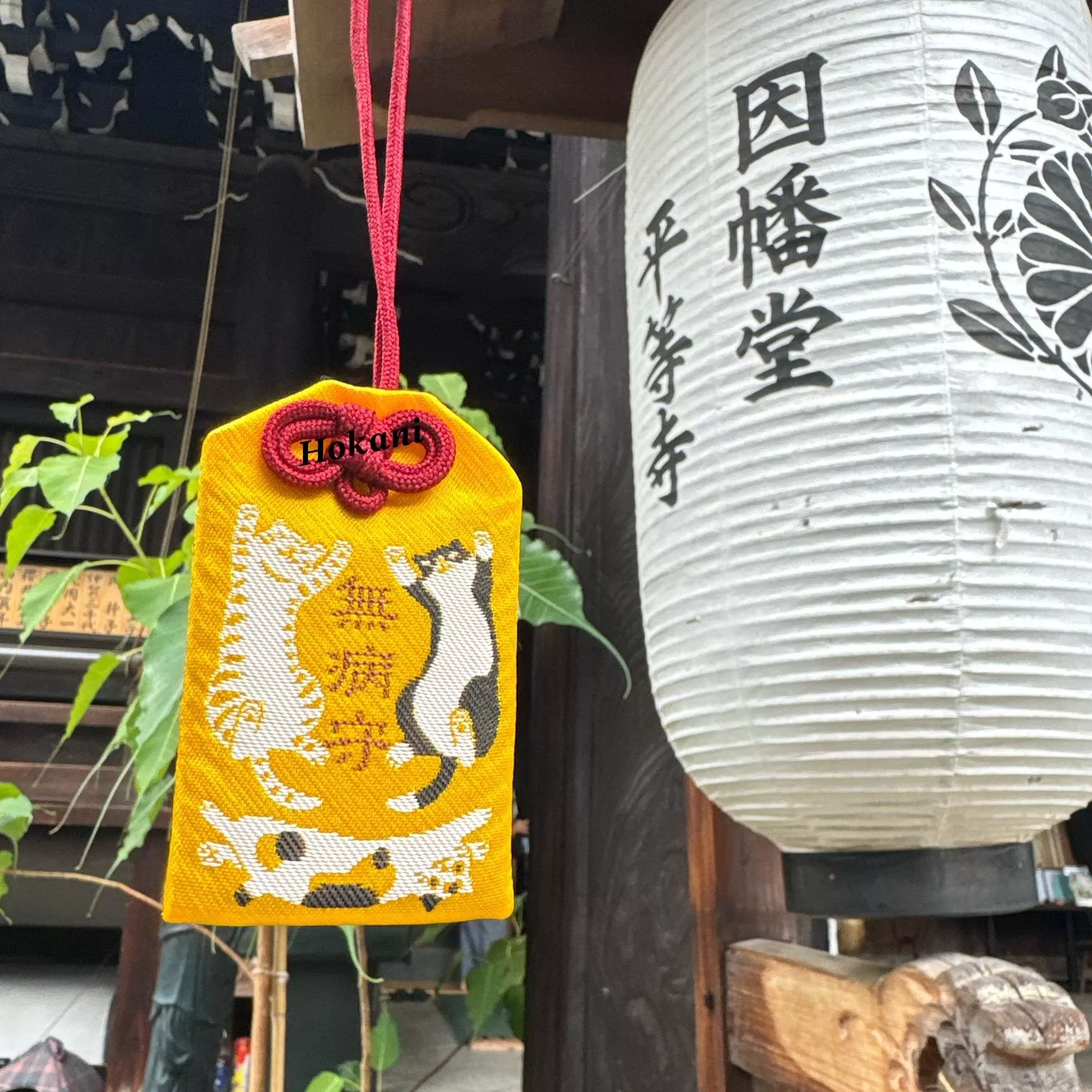 現貨🇯🇵京都平等寺因幡堂｜貓咪御守 柴犬御守 金馬御守