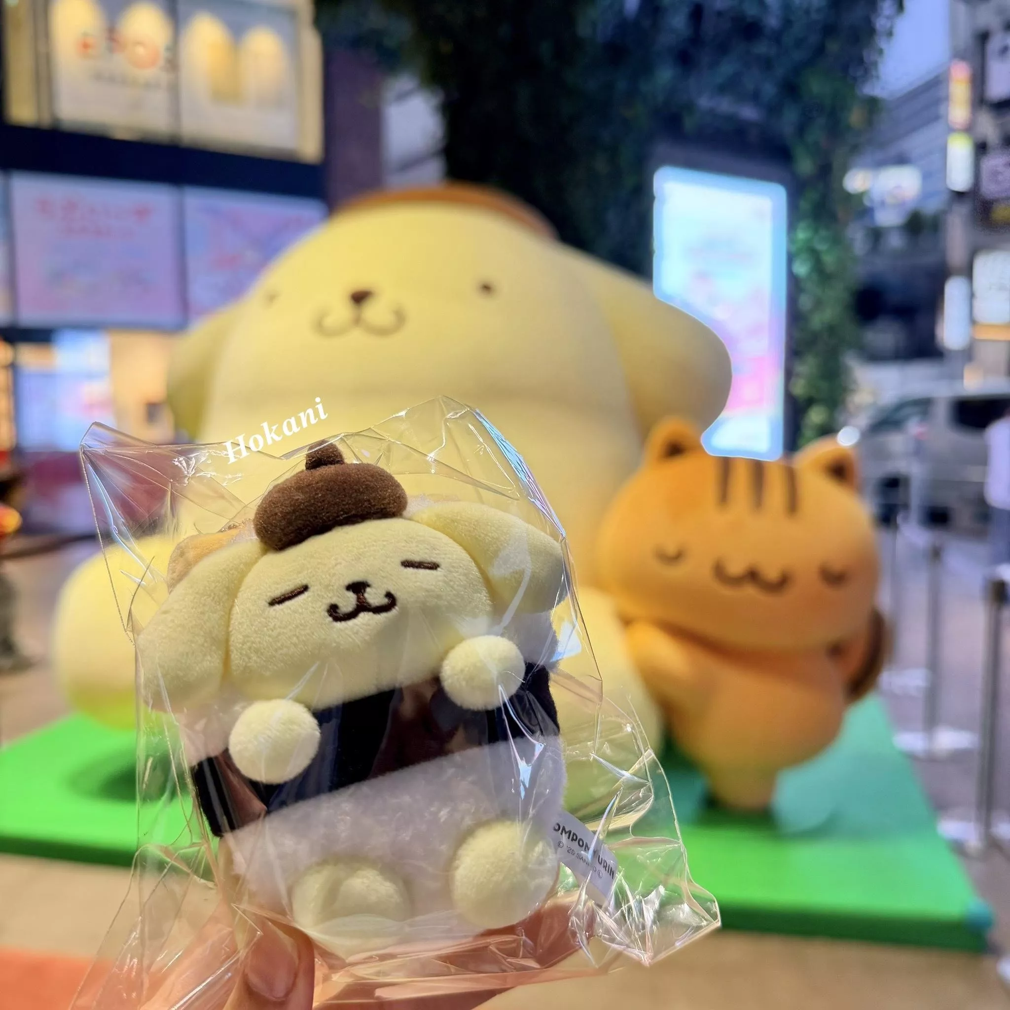 現貨🇯🇵布丁狗快閃店限定玉子燒壽司吊飾