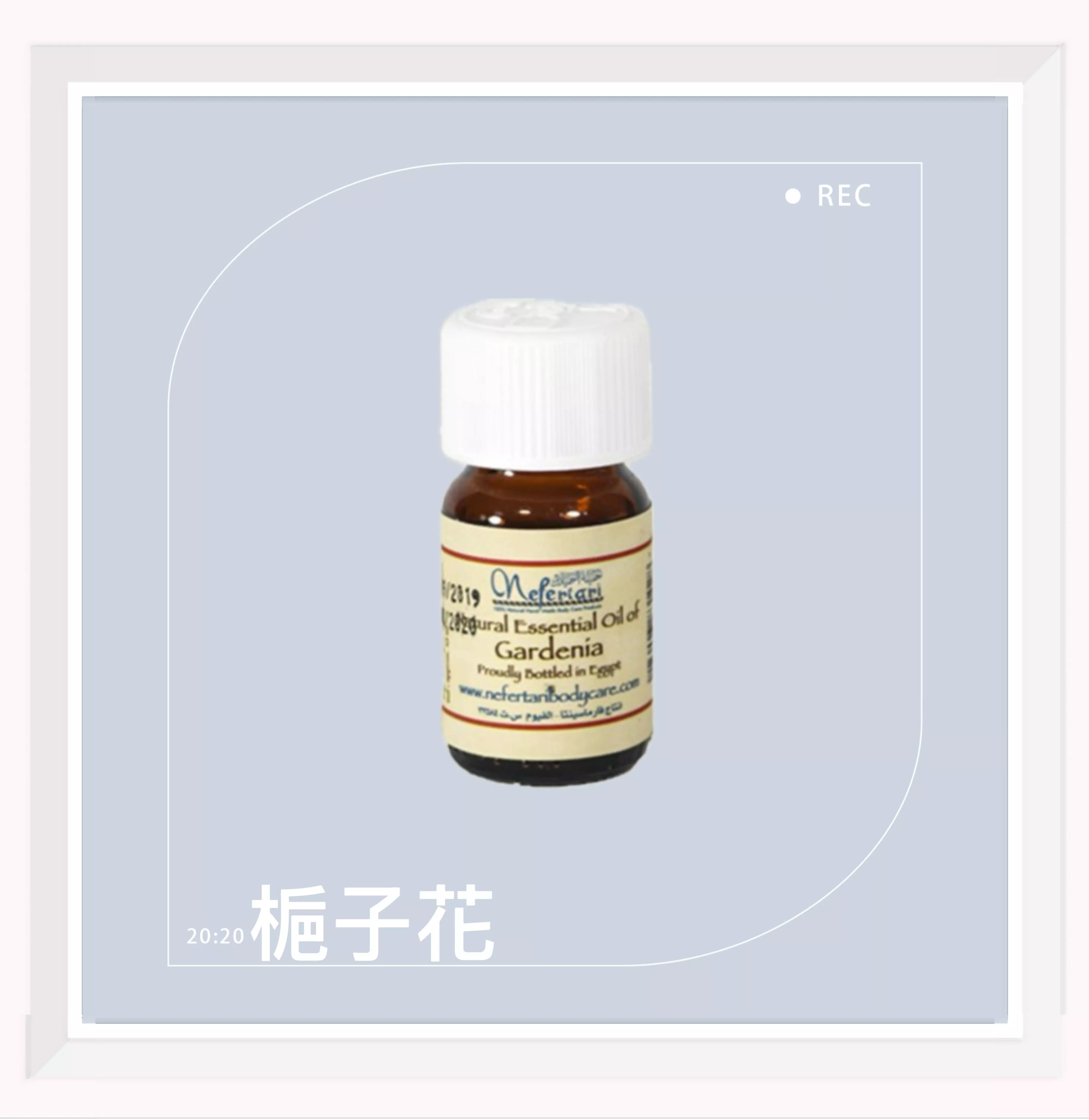 埃及 Nefertari 梔子花 純天然單方精油 25ml