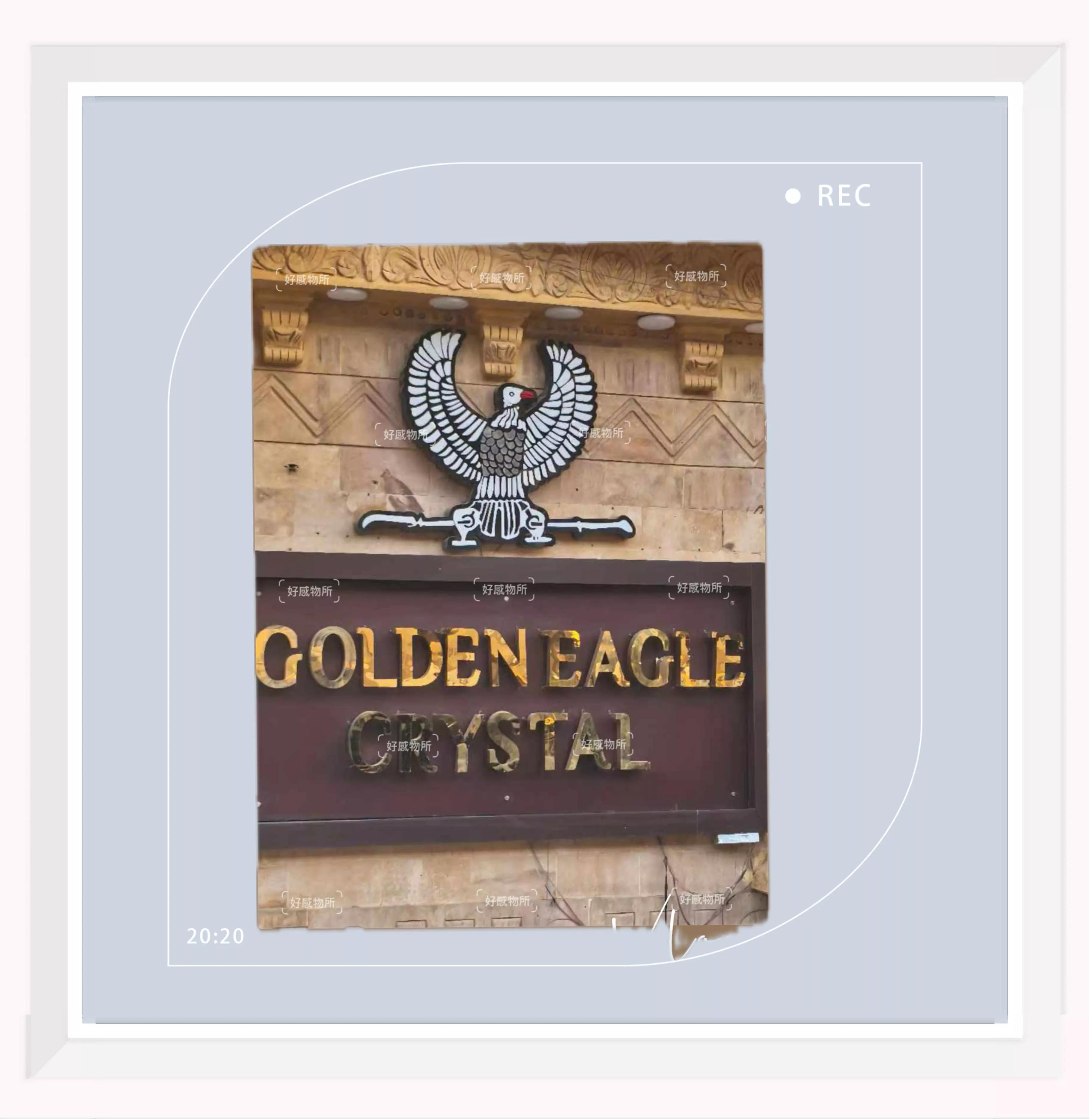 埃及🇪🇬 金老鷹香精 純香精 精油 香水 10ml