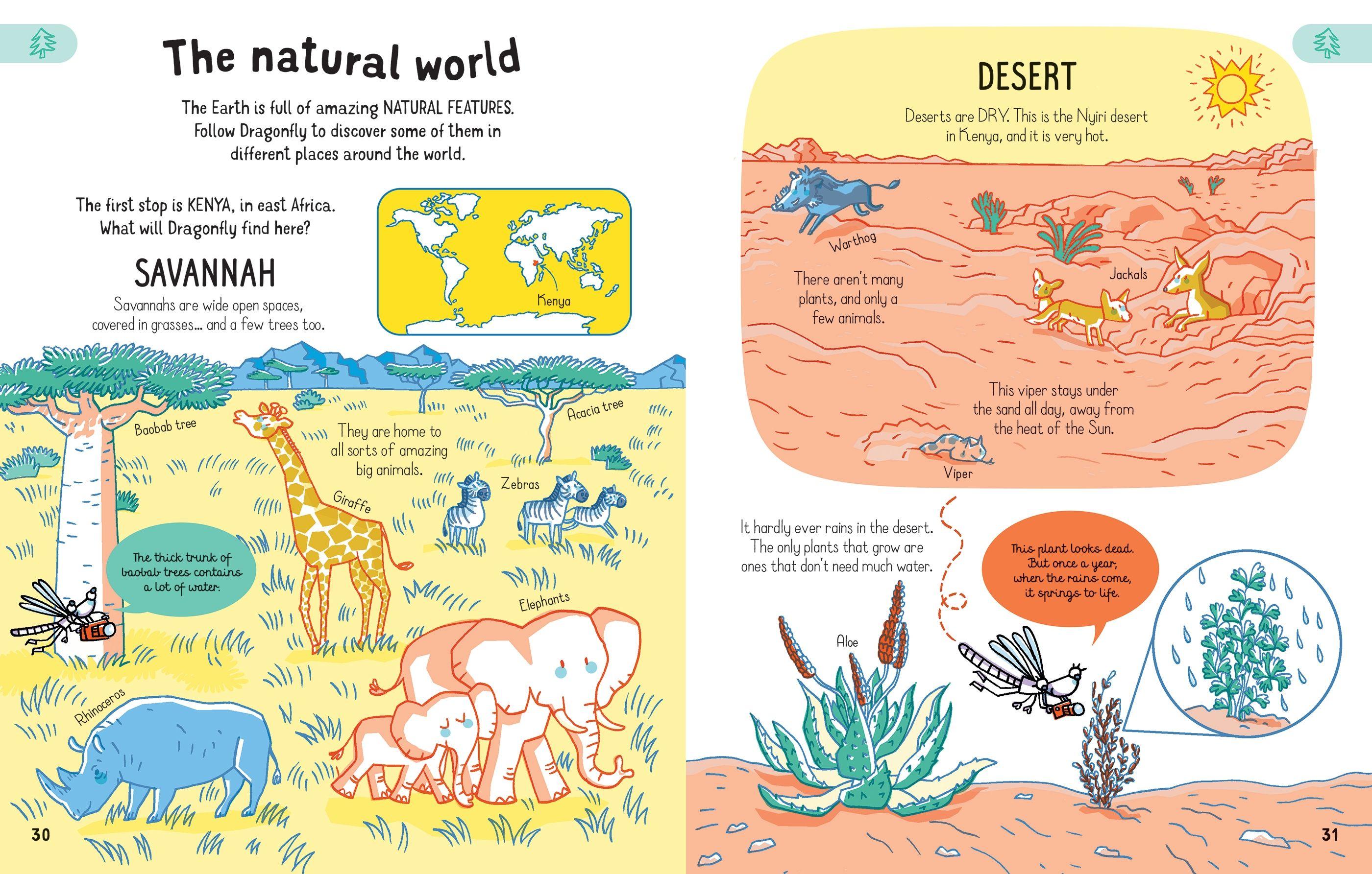 All you need to know about Our World by age 7 精裝書｜科學、工程與