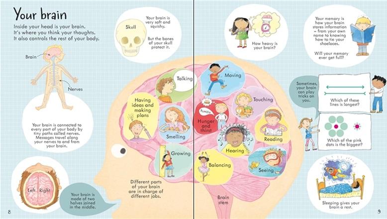 <Usborne> Look Inside Your Body 翻翻書