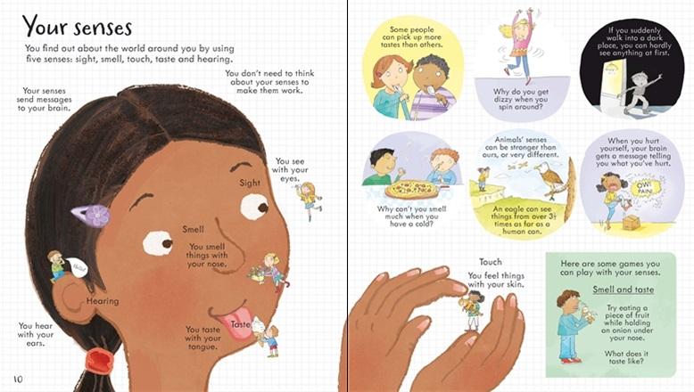 <Usborne> Look Inside Your Body 翻翻書